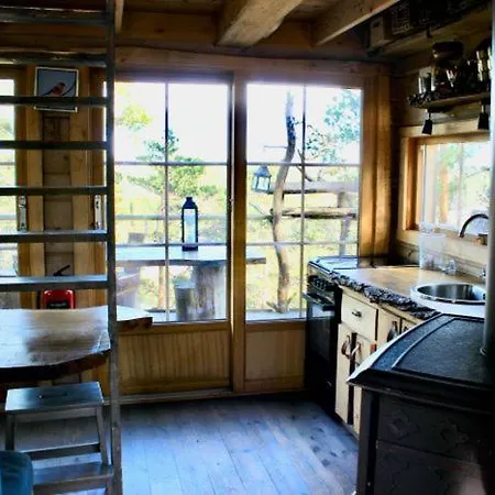 Dağ evi Tretopphytter Pa Grensen - Elghytta Med Robat Og Gjeddefiske