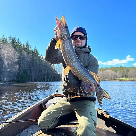 Dağ evi Tretopphytter Pa Grensen - Elghytta Med Robat Og Gjeddefiske *